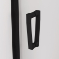 Sanswiss Cadura drzwi wahadłowe wnękowe z elementem stałym w linii 120cm (117,5-120,5cm), lewe profil czarny mat, szkło bezbarwne CA13G1200607+V2.CA.06