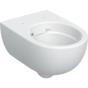 GEBERIT Selnova Premium miska podwieszana 53x36 cm, Rimfree 502.035.00.1