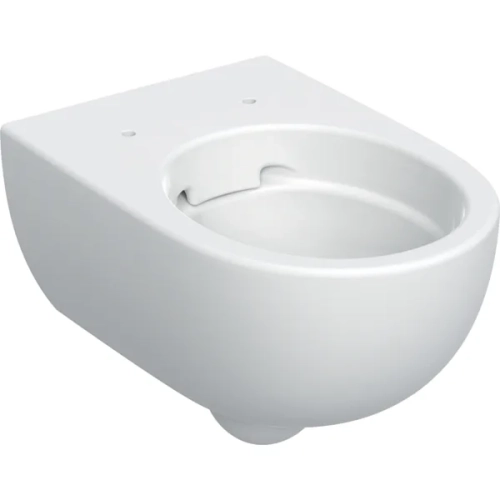 GEBERIT Selnova Premium miska podwieszana 53x36 cm, Rimfree 502.035.00.1