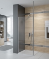 Sanplast Prestige III ścianka prysznicowa Walk-In 80 cm, srebrny mat P/PRIII-80, 600-073-1420-39-401