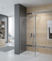 Sanplast Prestige III ścianka prysznicowa Walk-In 80 cm, srebrny mat P/PRIII-80, 600-073-1420-39-401